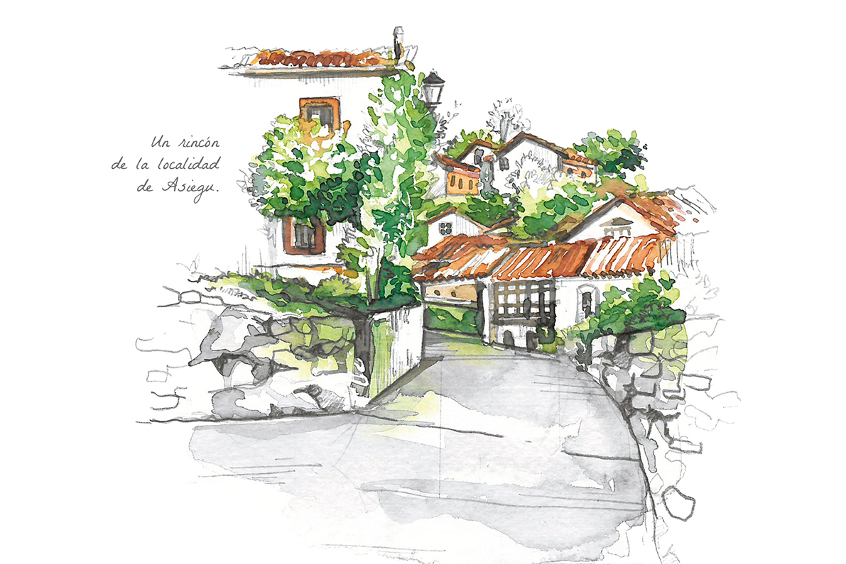 Acuarela