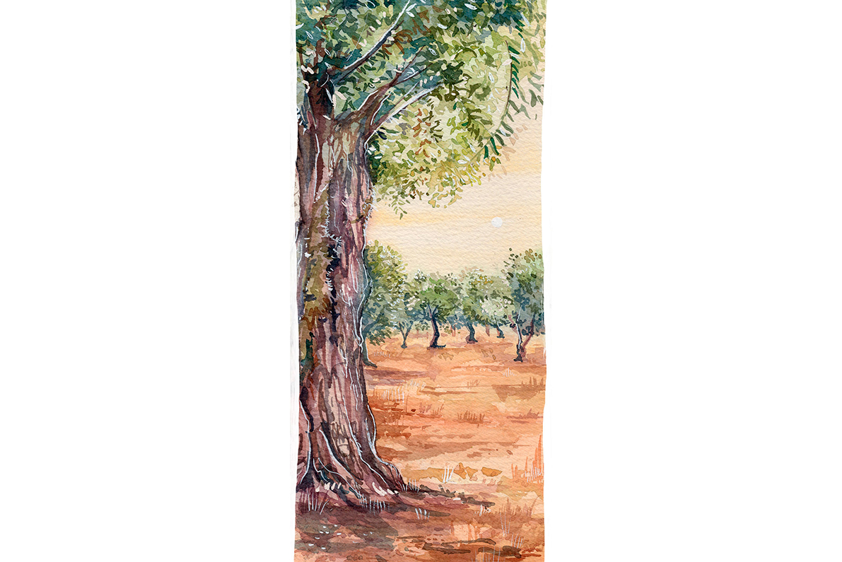Watercolours of Portugal