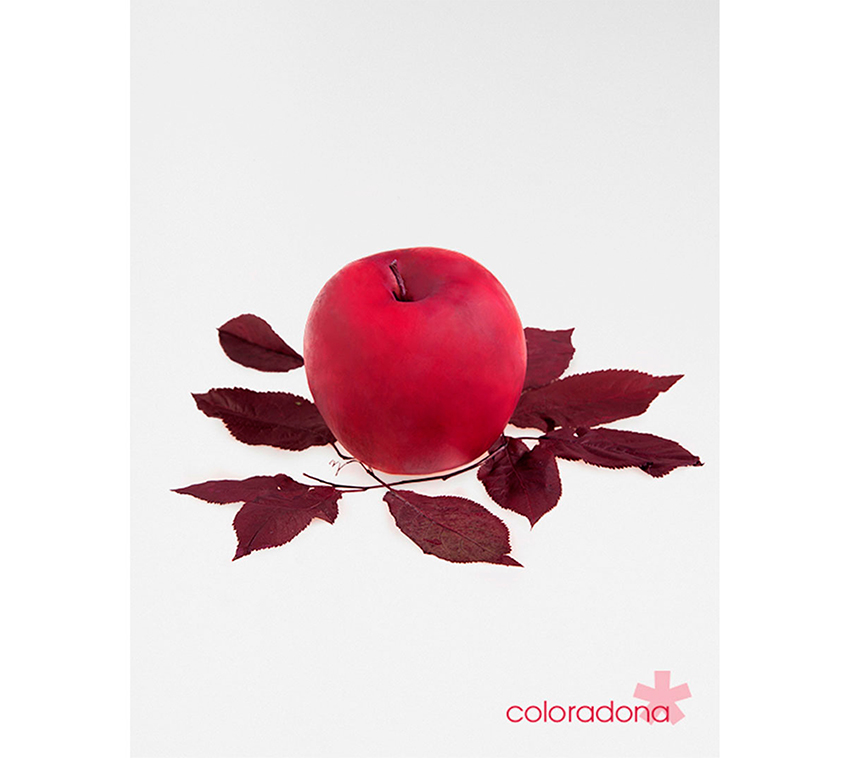 etiquetas de sidra asturiana