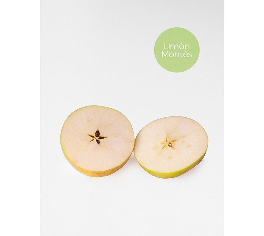 etiquetas de sidra asturiana