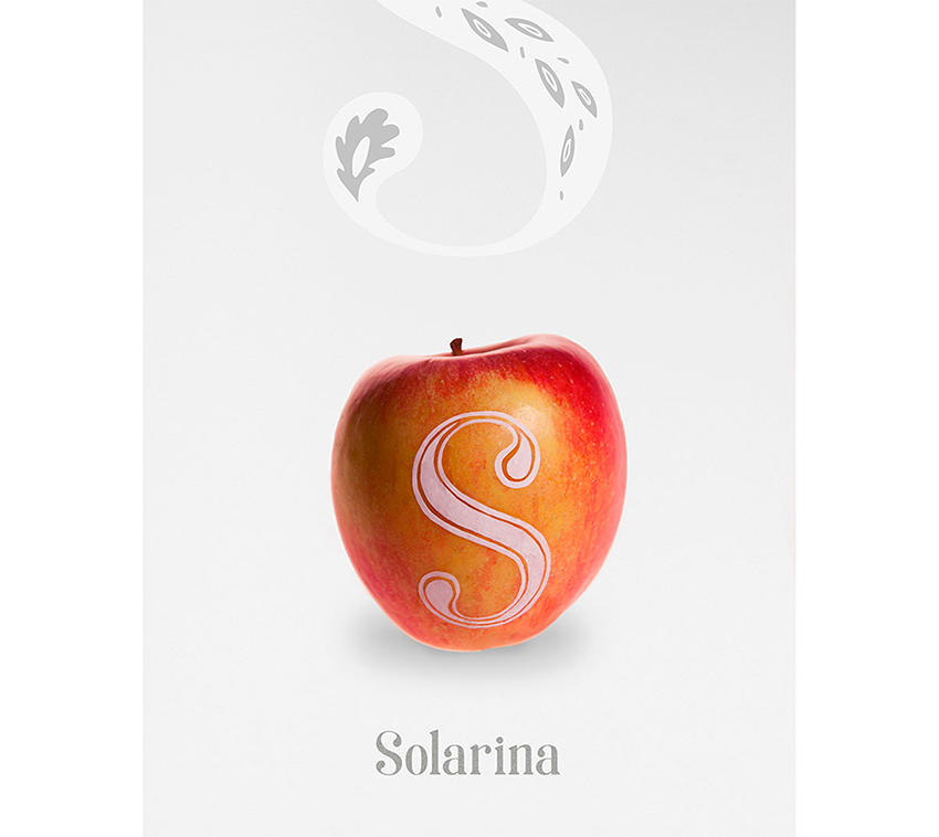 etiquetas de sidra asturiana