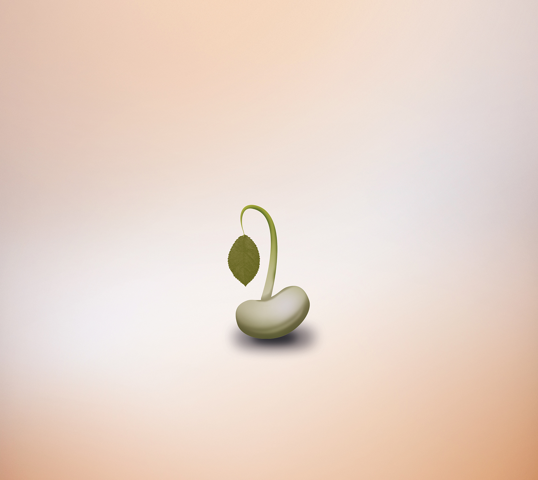 carteleria de La Feria de la Ascensión Oviedo 2019