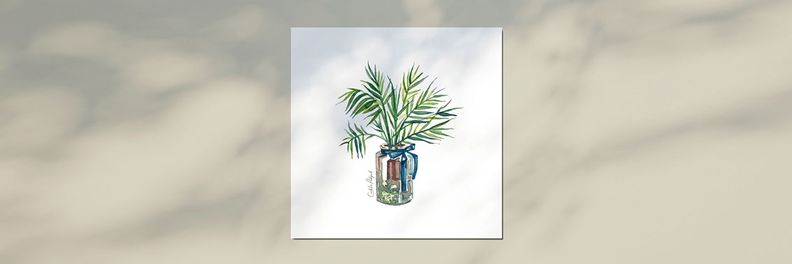 recordatorios de comuniona