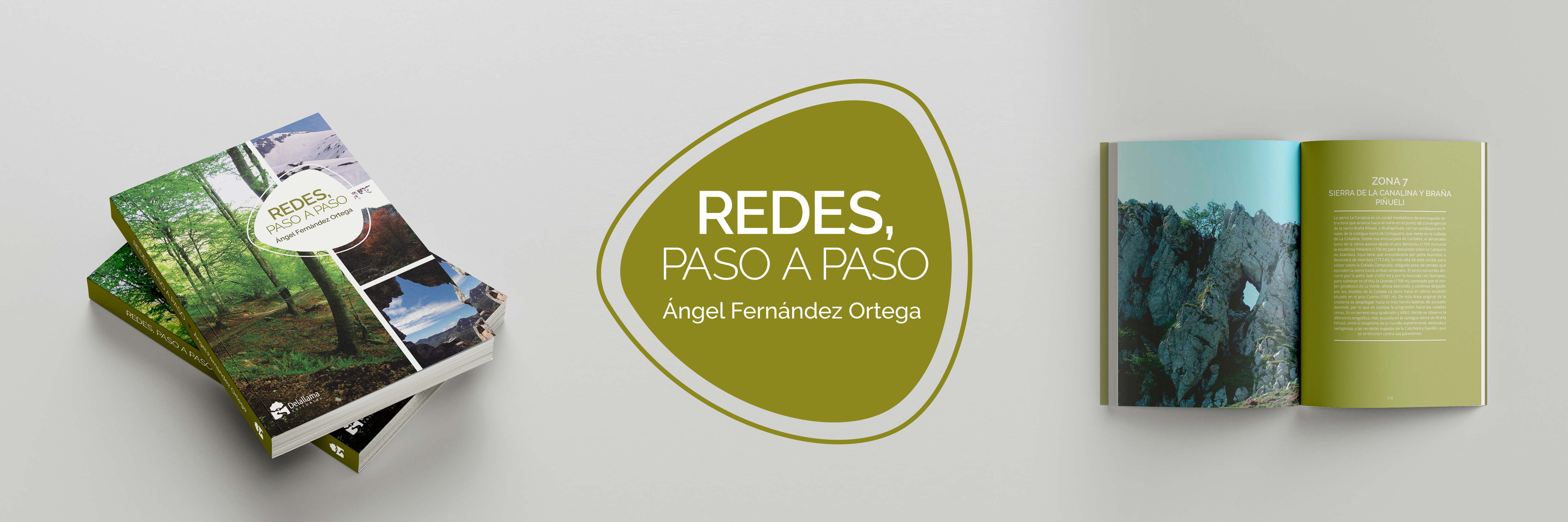 Redes-paso-a-paso