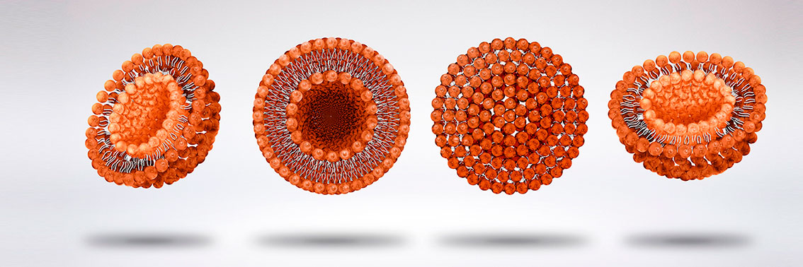 ilustraciones científicas