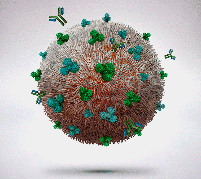 ilustraciones científicas